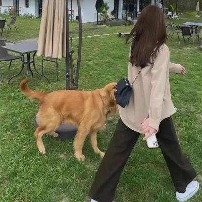 毛骗第一季